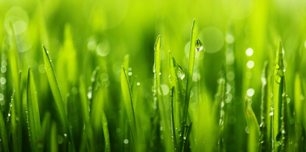 Bozeman Sprinkler Services StartUpRepairRevampWinterization